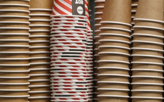 Disposable Plate & Cup Making Business