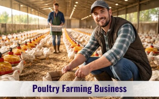 Poultry Farming Business in India